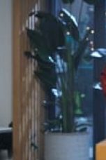 fFB9w2Nskq0i4MiGPH6yQhqDU4I